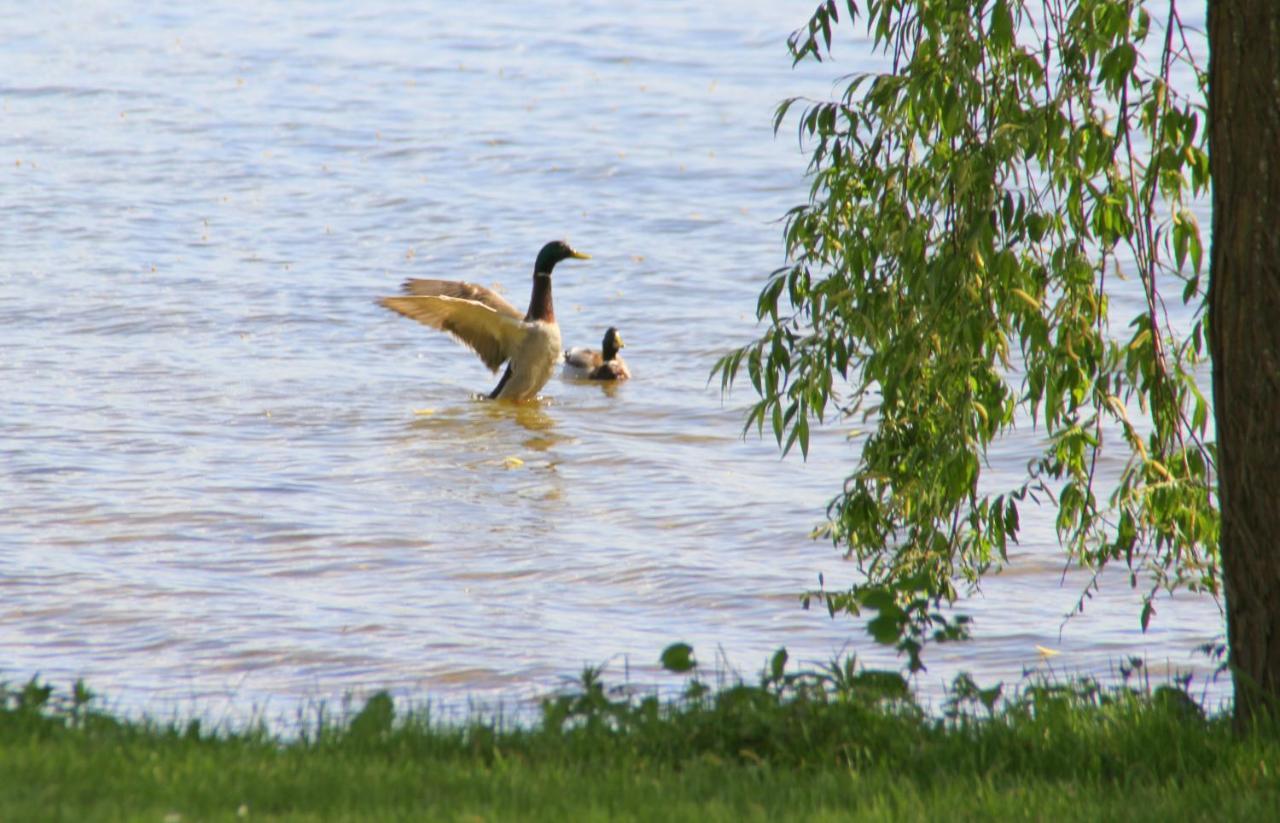 Junior-Suite Relaxe Am See Ашеберг Экстерьер фото